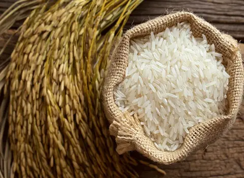 فروش برنج فجر رشت + قیمت خرید به صرفه